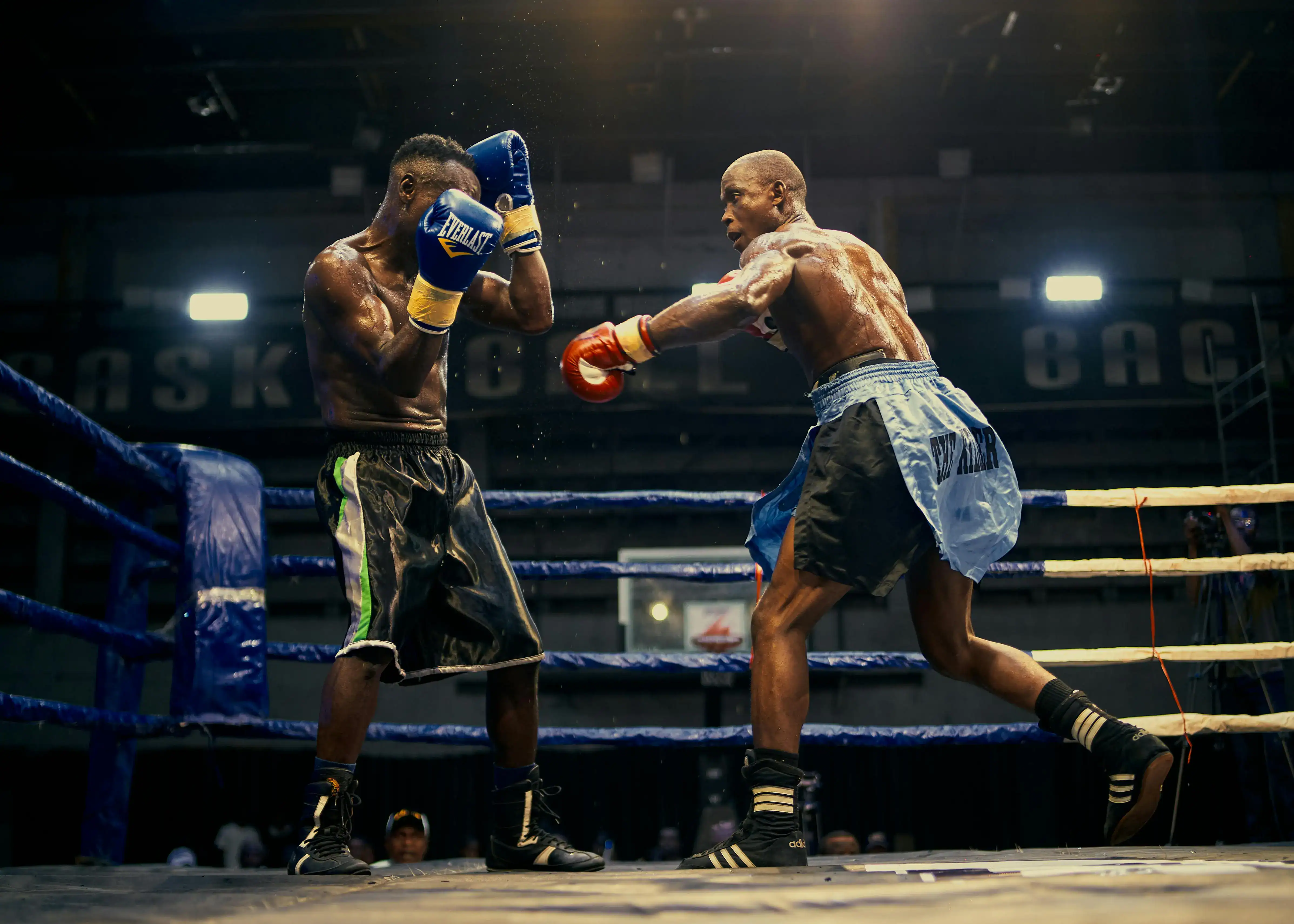 Everlast 2026 : gants, sacs et équipements sur Amazon