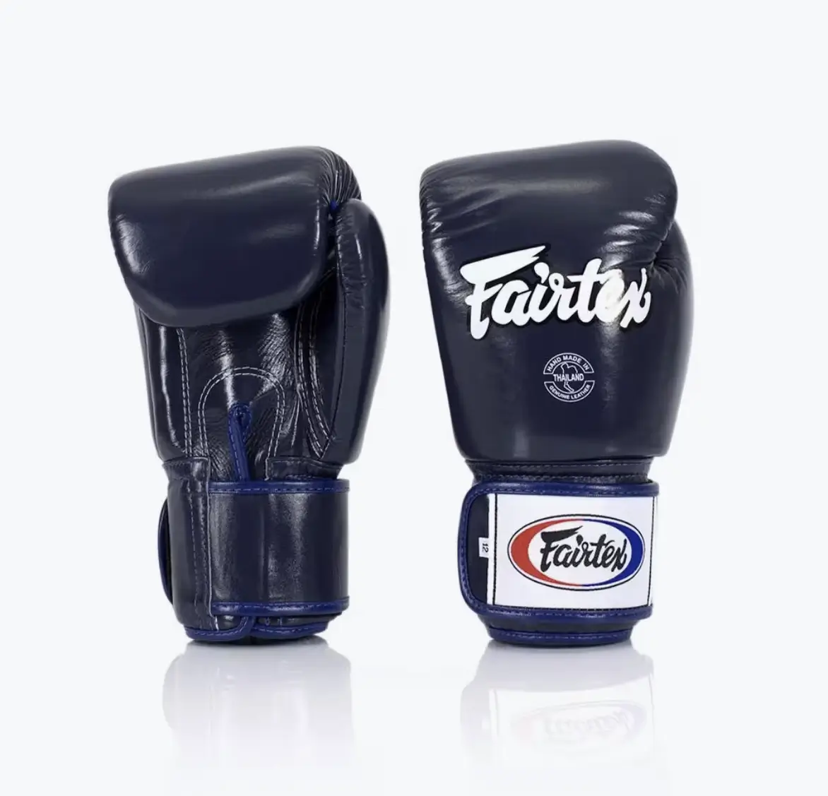Test Fairtex BGV1