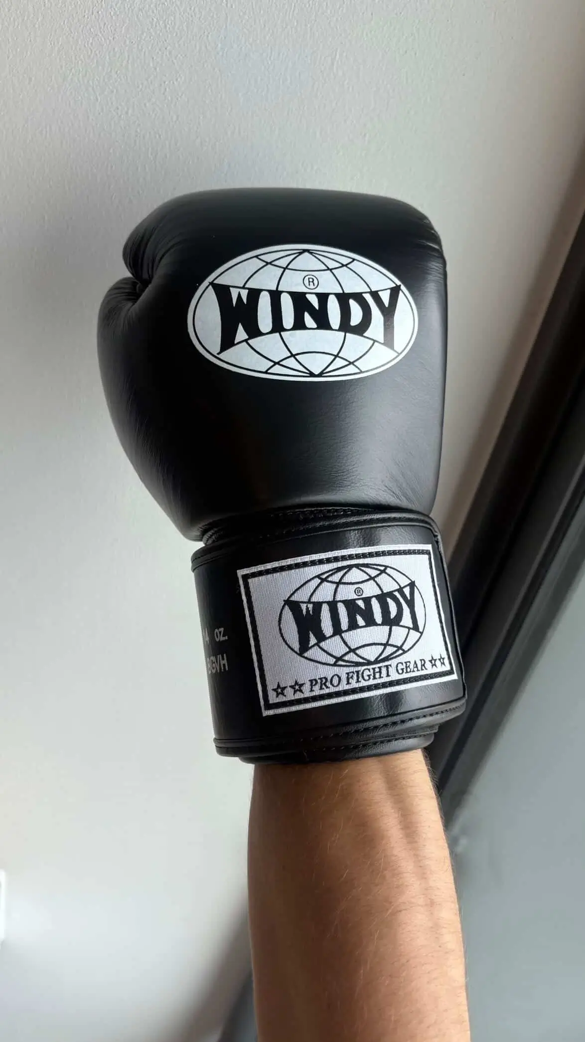 Boxeur en garde portant les gants de boxe Windy