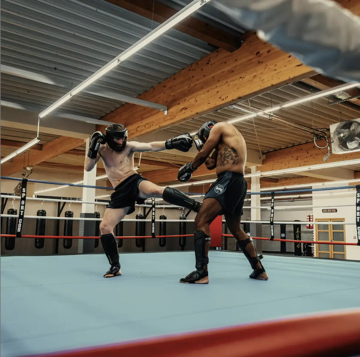 Equipement kickboxing K1 protege-tibias sparring entrainement