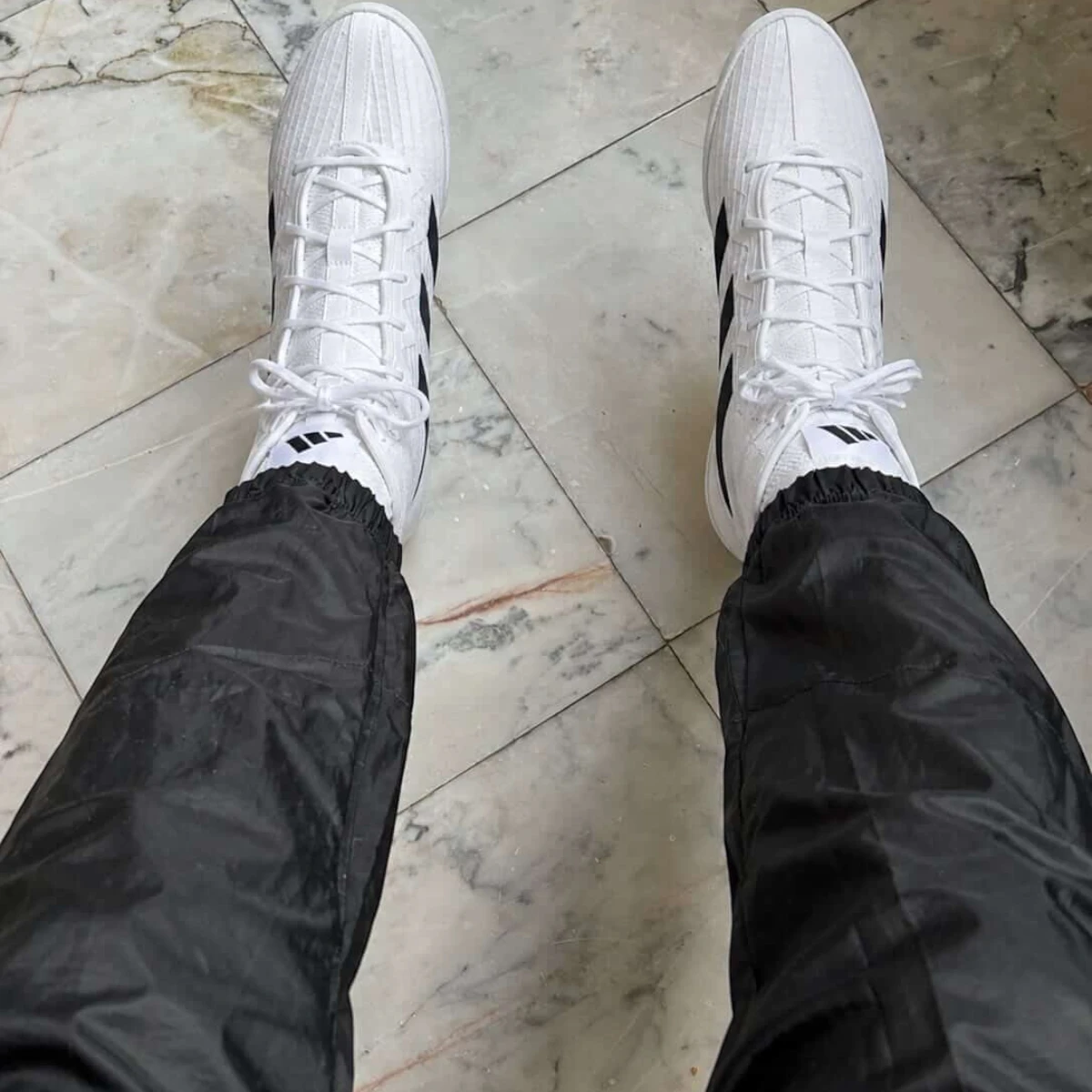 Adidas Box Hog 4 vue dessus