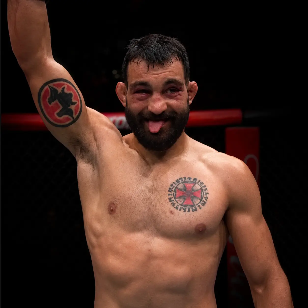 Combattants MMA français