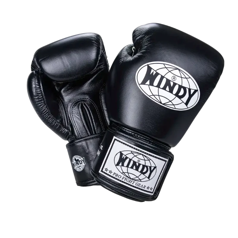 Gant de boxe Windy BGVH noir – vue de face