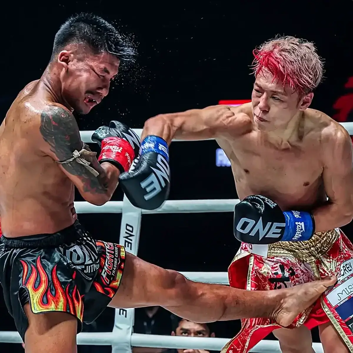 Techniques de Combat : Boxe, Muay Thai & MMA | Guide Ultime
