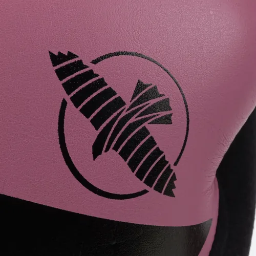 Zoom logo faucon Hayabusa S4